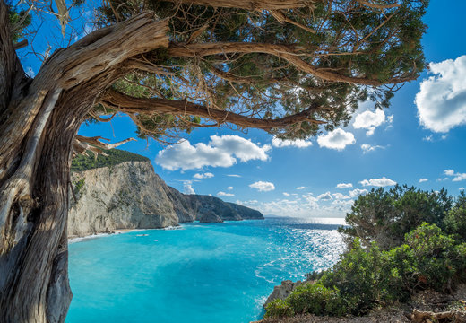 featured-image